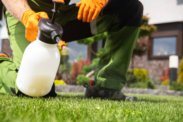Pest Control for Restaurants in Due West, SC