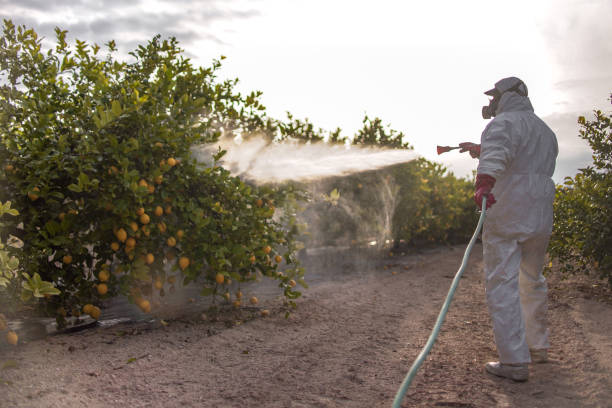 Best Best Pest Control Companies  in Due West, SC