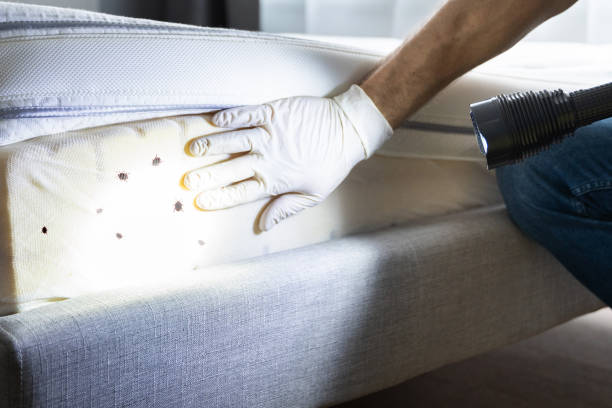 Best Exterminator Services  in Due West, SC